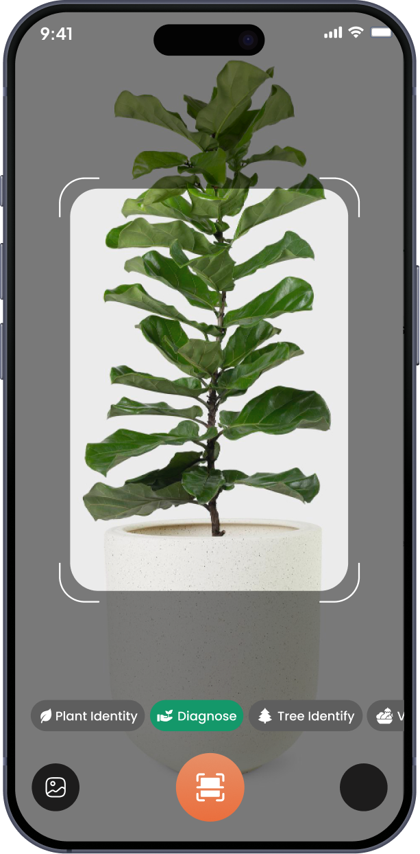 Mobile app screen 3