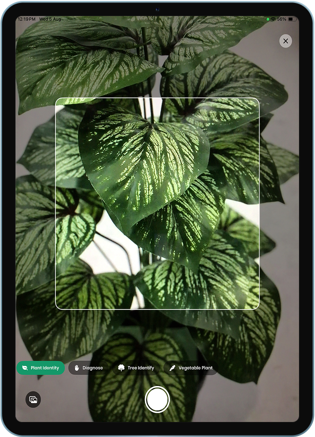 Tablet app screen 2